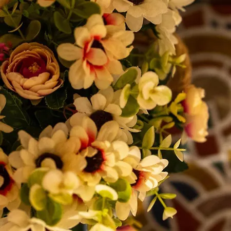 Aj And Breakfast Bed & Breakfast 4*