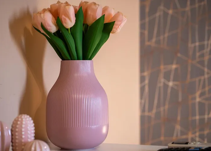 לינה וארוחת בוקר Aj And Breakfast